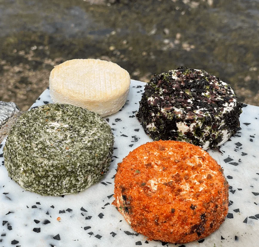 Quatre petits fromages frais enrobés d’algues, d’herbes et de piment, posés sur une pierre au bord de l’eau