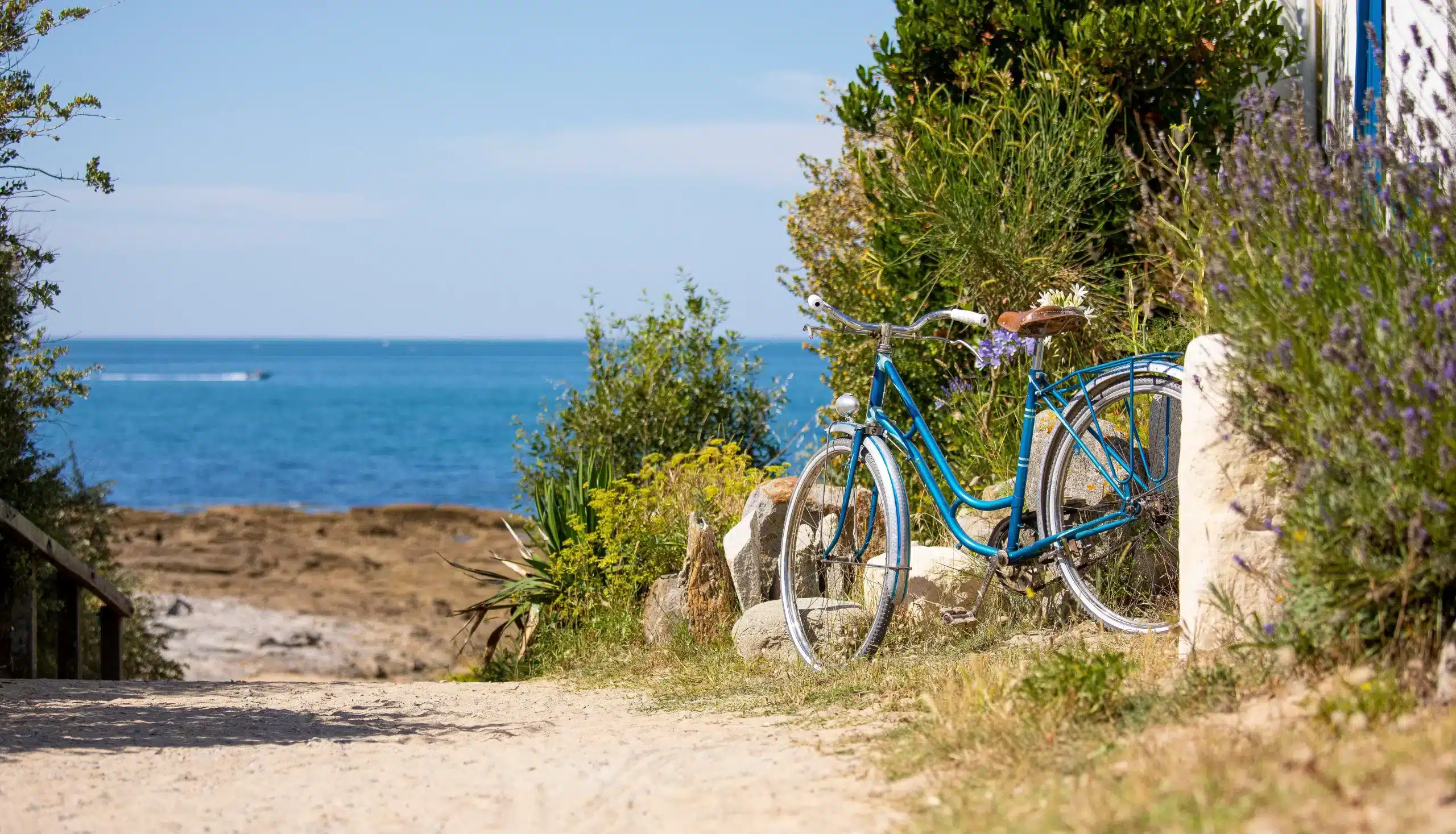 balade velo (6)