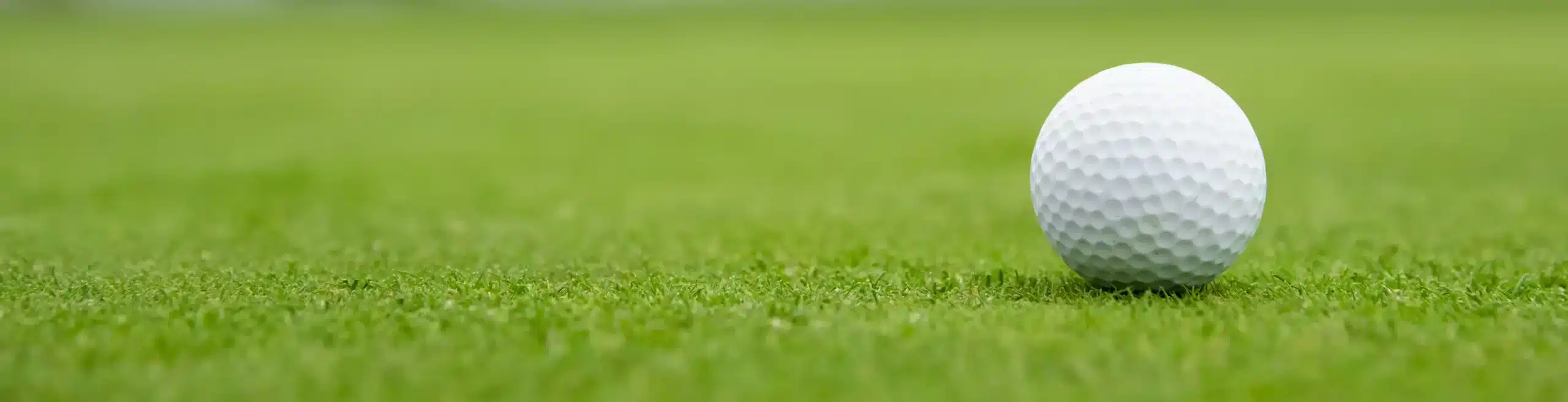 golf (4)