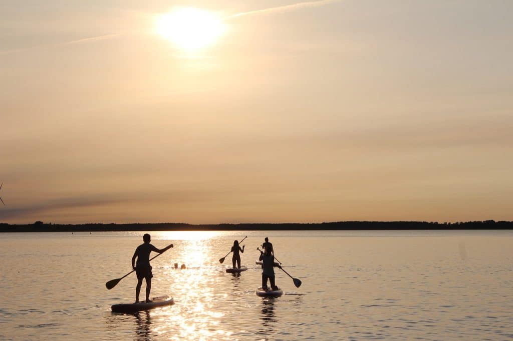 paddle